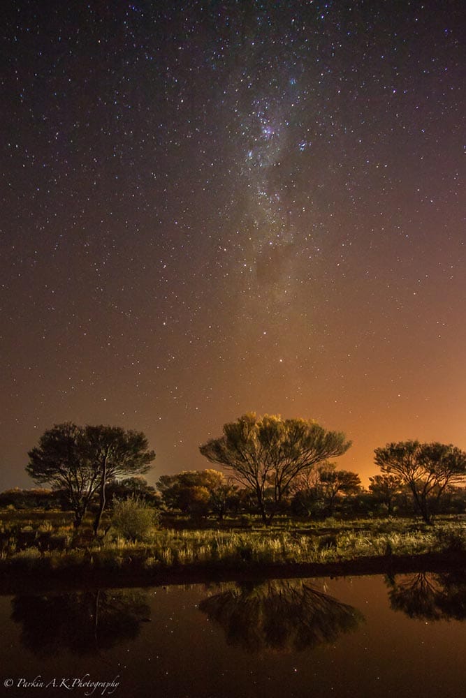 Stars in the night sky above tree. Copyright Alan Parkin (iPhotography Student)