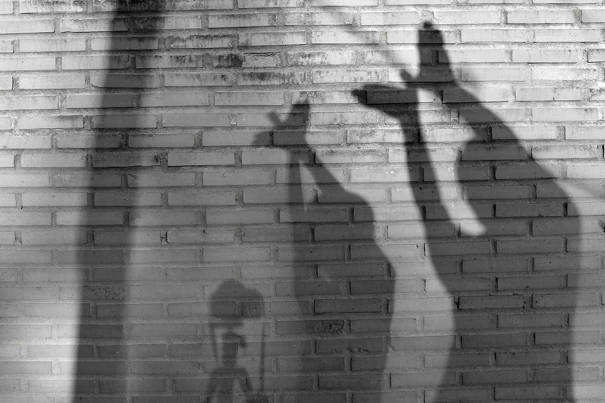 Father,And,Son,Made,A,Shadow,Of,A,Bird,On