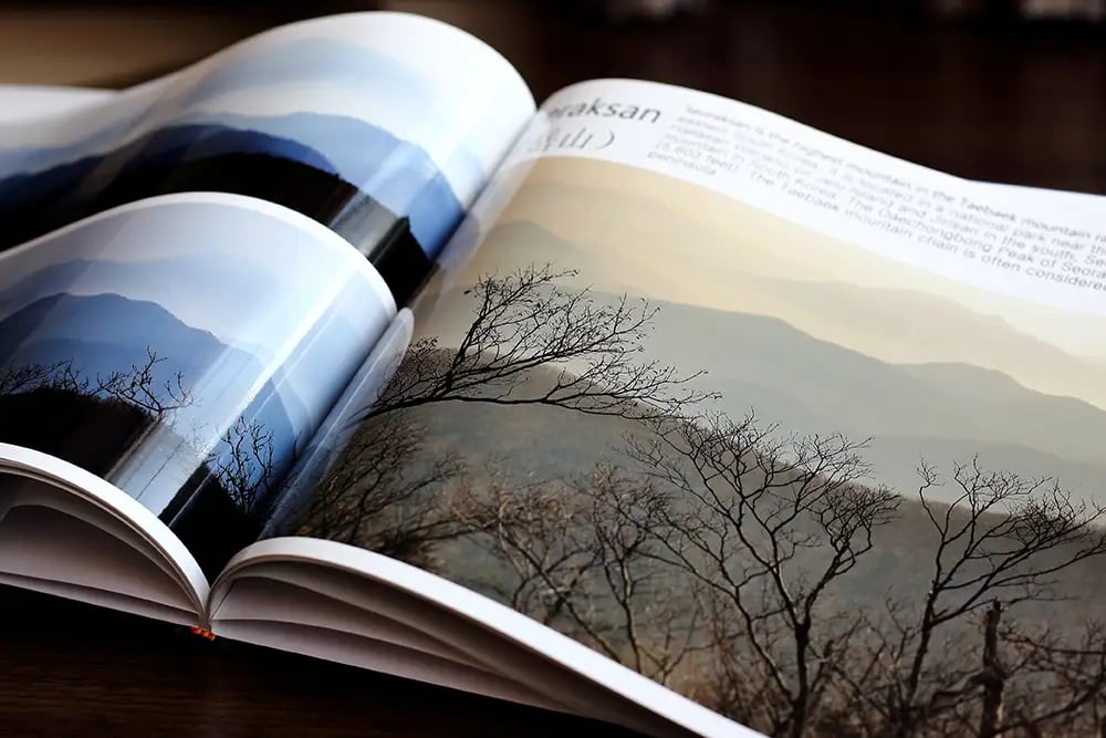 Printed photo book