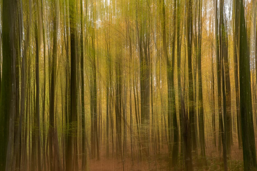 10 Nature Photography Tips by iPhotography.com