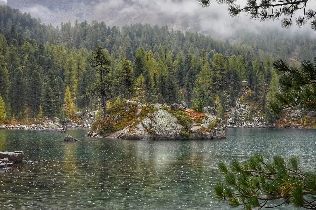 Rain on Landscape Lake