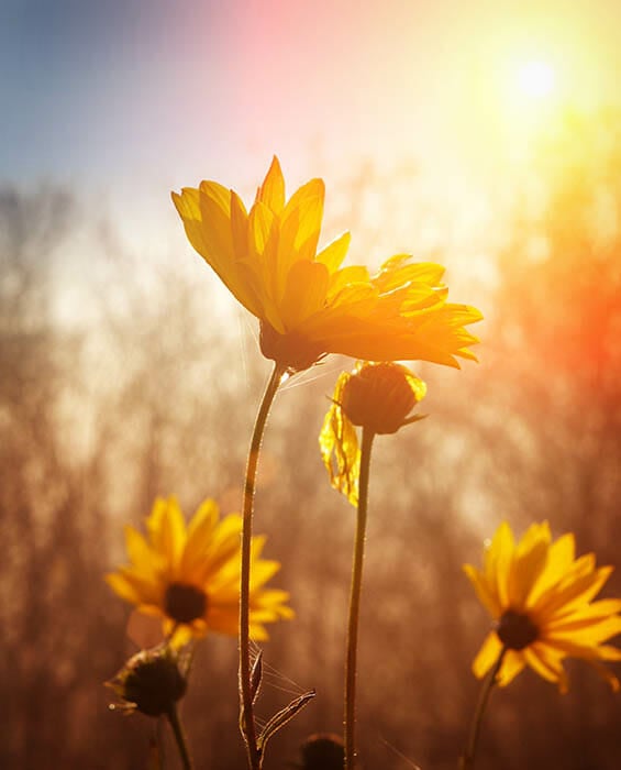 How to Find Your Favourite Photograph by iPhotography.com