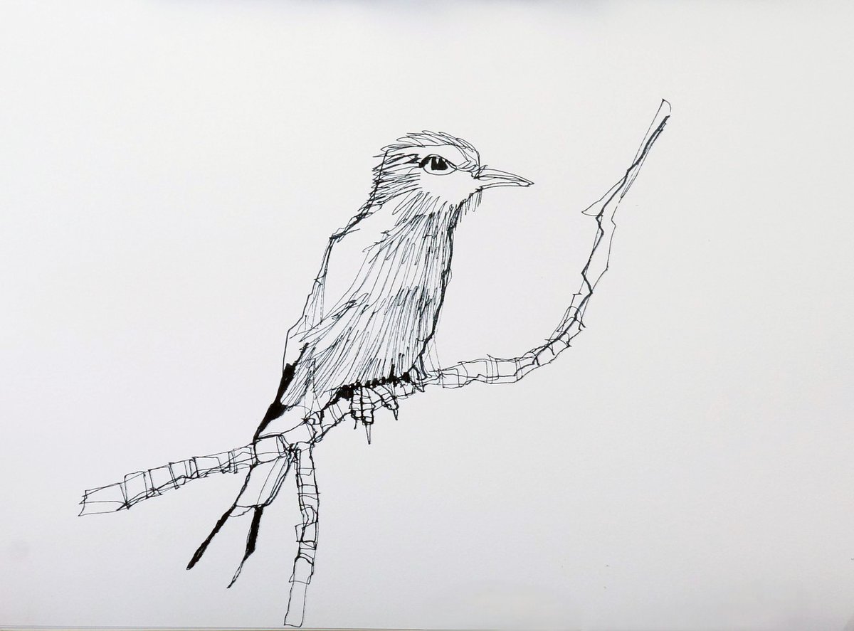 A detailed pen sketch of a small songbird perched on a curved branch. The drawing shows expressive linework capturing the bird's feathered body, distinct eye, pointed beak, and delicate clawed feet gripping the branch. The sketch uses a mix of fine lines and bolder strokes, with particular emphasis on the wing feathers and body structure. The composition is centered on a light background, demonstrating careful observation of avian anatomy and movement.