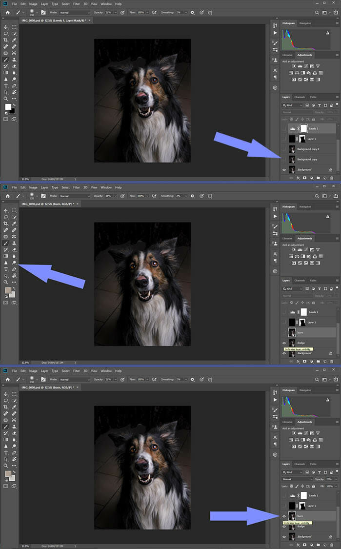 Low Key Dog Photography Example for iPhotography.com