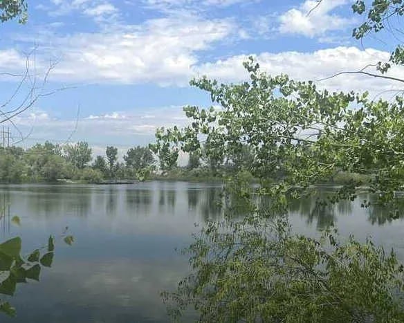 Rotary Pond Park – Peaceful Nature Photography Spot in Nampa