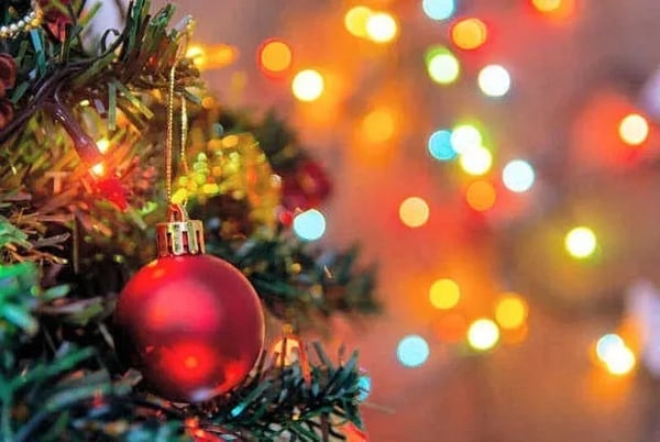 Close-up of a decorated Christmas tree with a shiny red ornament hanging from a branch, surrounded by green needles and blurred festive lights—captured by Idaho Photography Studios.