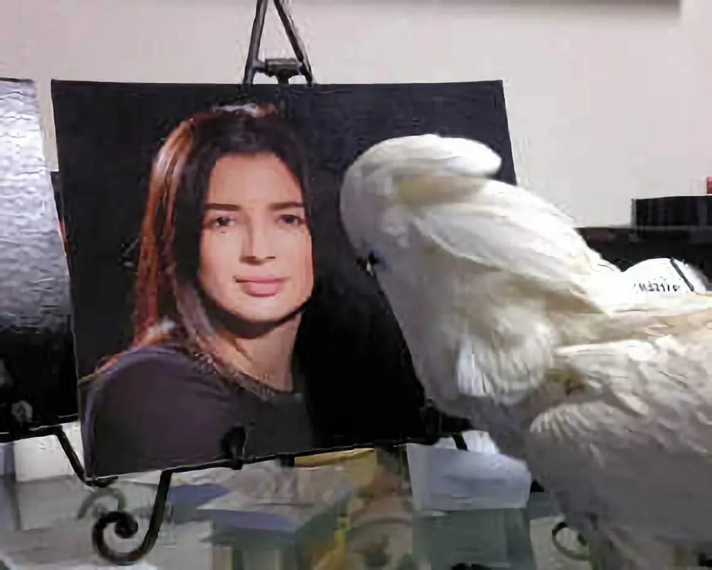 Masters Pet Series: My Best Portrait