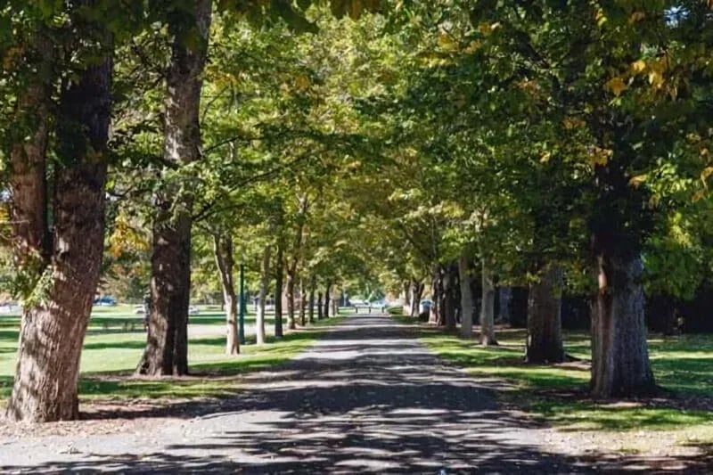Julia Davis Park – Best Photography Spot in Meridian