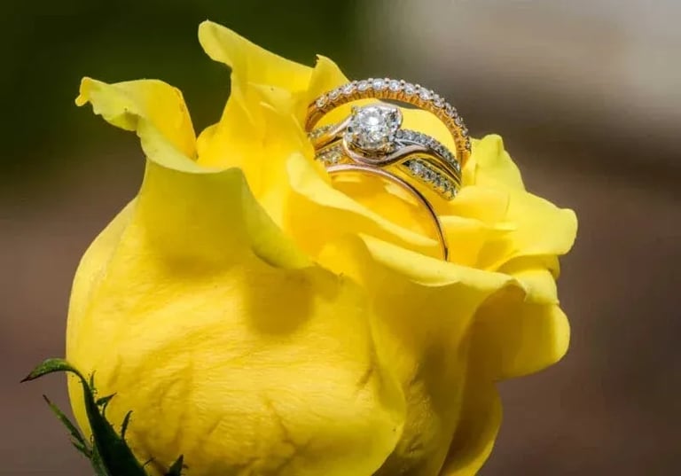 Weddings: Wedding Bands in Yellow Rose