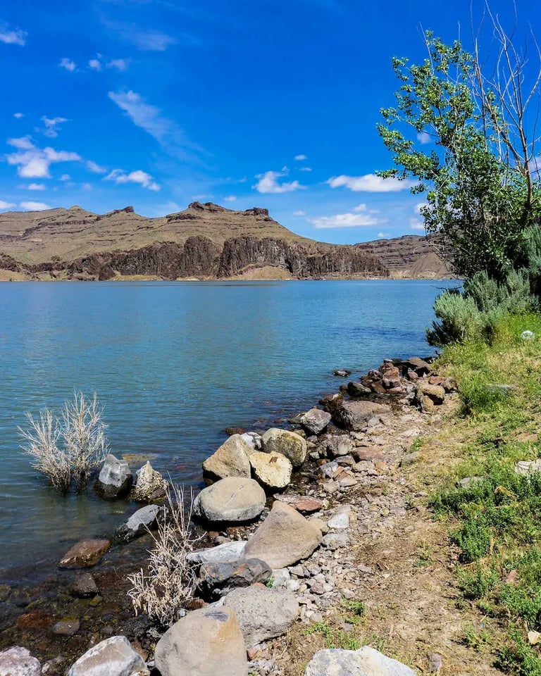 Owyhee Reservoir