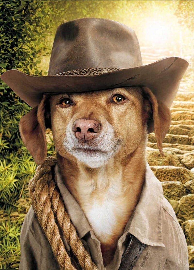 Masters Pet Series: Retriever Looking for an Adventure