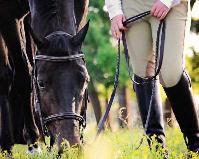 Individual Portraits: Horse and Rider