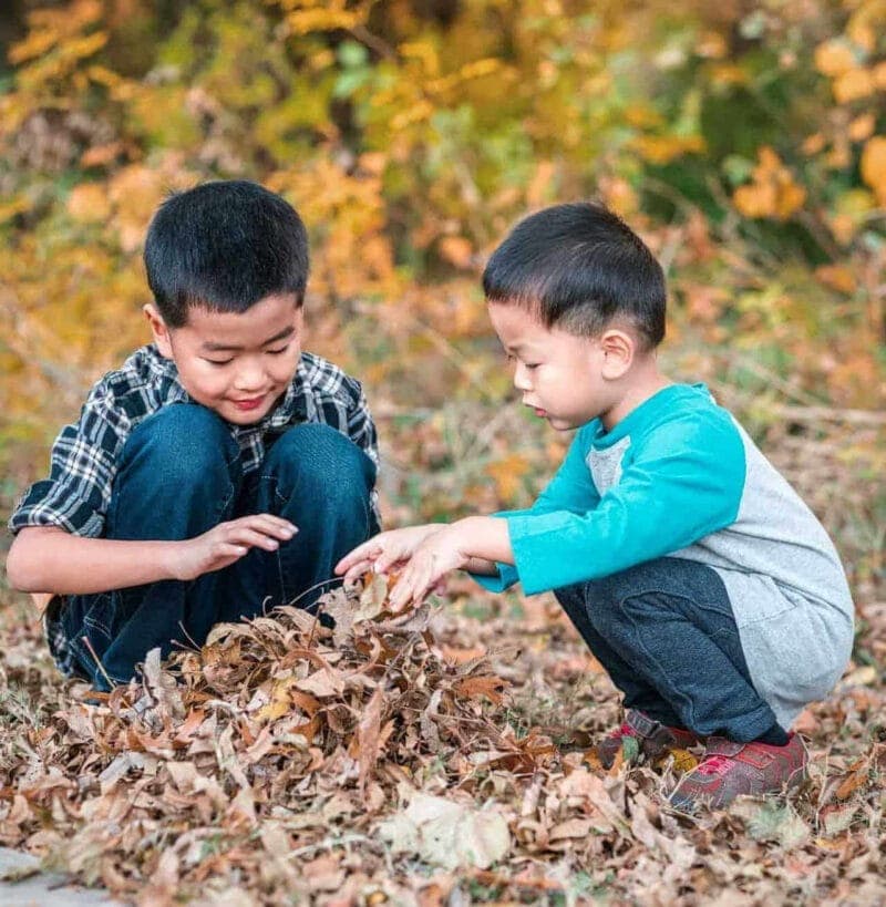 Family Lifestyle: Boys Playing with Leaves