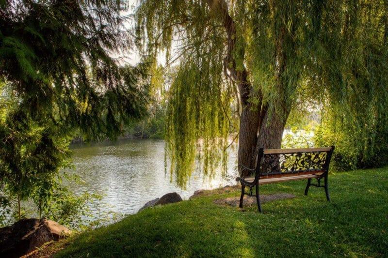 Locations: Boise Greenback