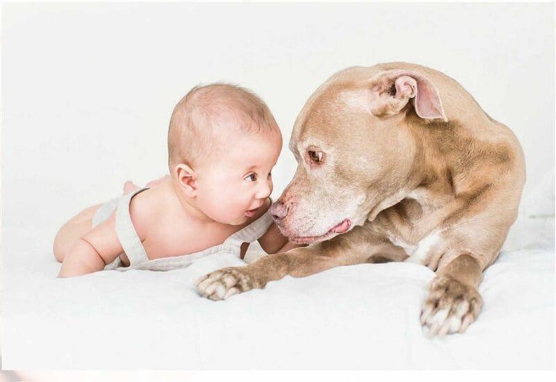 Masters Portrait Series: Dog and Child on White