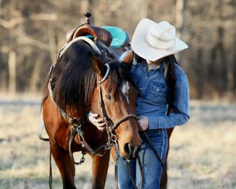 Equestrian: Horse and Cowgirl