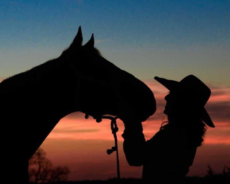 Equestrian: Sunset Silhouette with Cowgirl