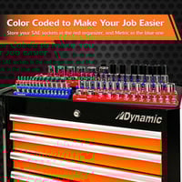 Dynamic_D029001.jpg