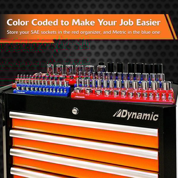 Dynamic_D029001.jpg