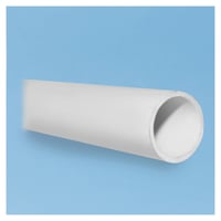 IPEX_022625_N.jpg