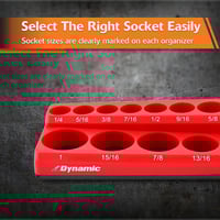 Dynamic_D029001_3.jpg