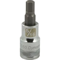 Dynamic_D013060.jpg