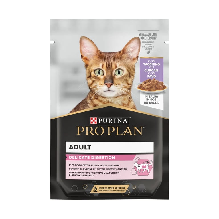 Chat Delicate Dinde En Sauce