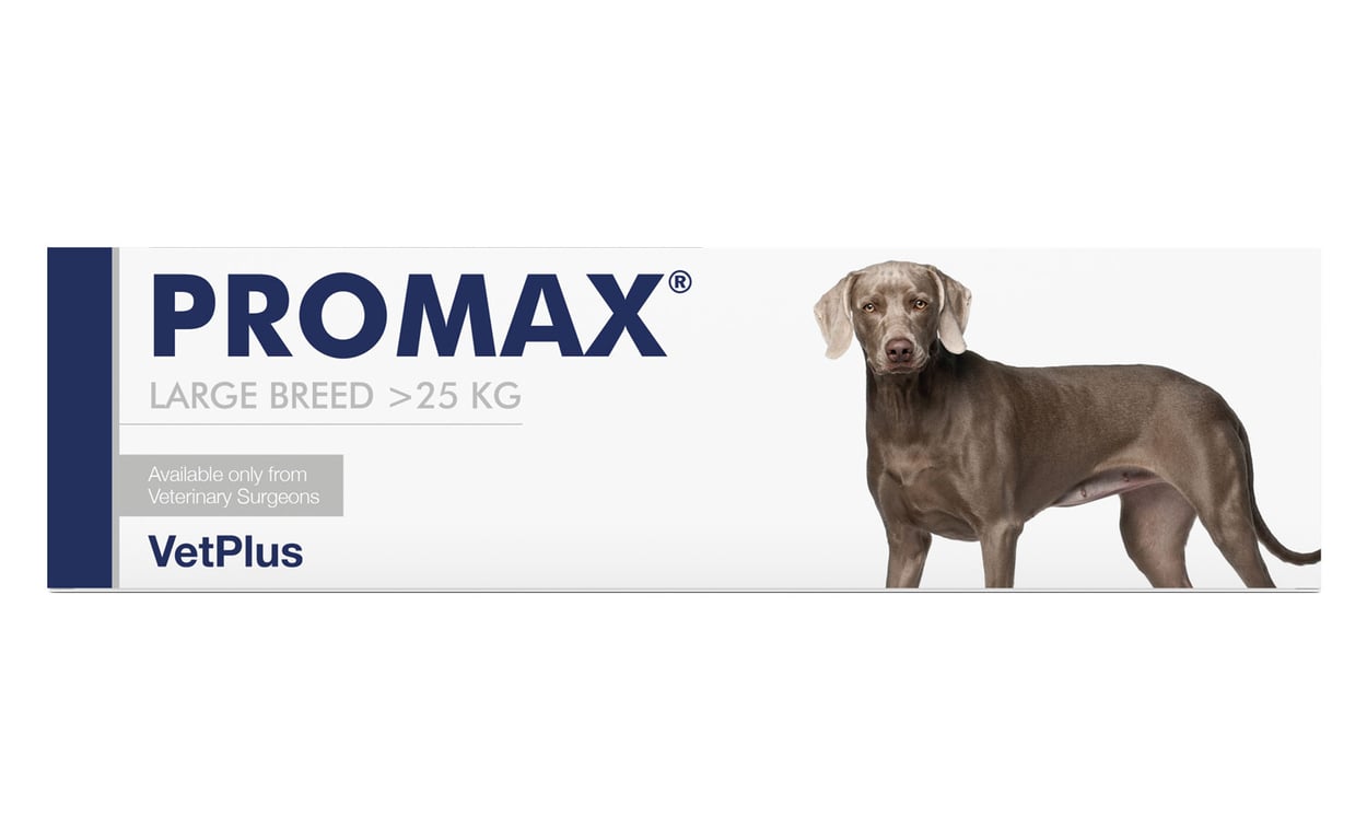 Promax Races Grandes