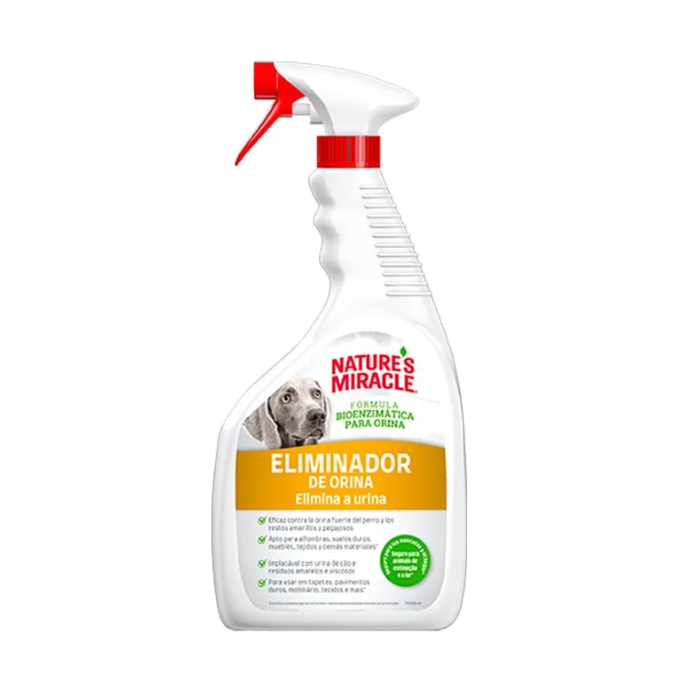 Éliminateur d'Urine Chien