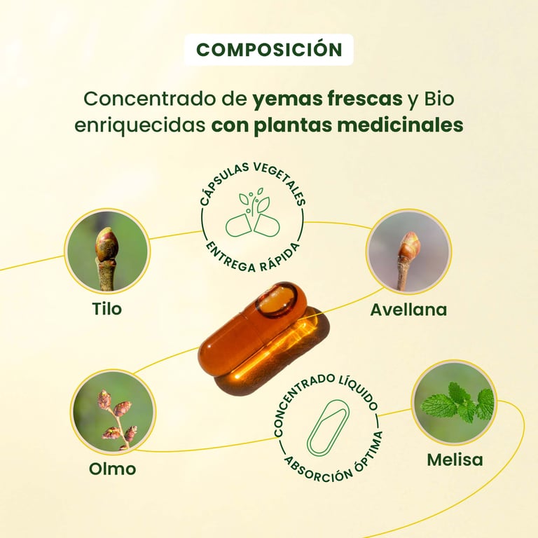 Gemmocaps Stress-Protect Sommeil - imagen 4 de 6