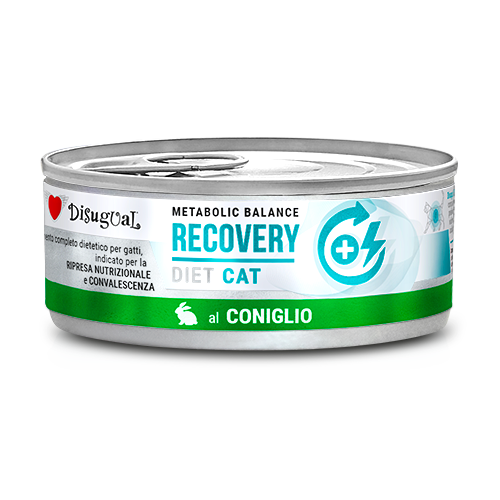 Cat Recovery de Conejo