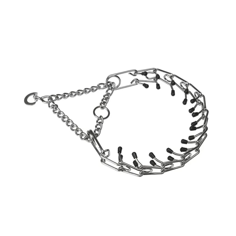 Trainings-Halsband Chrome CA6000