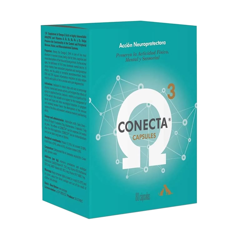 Conecta