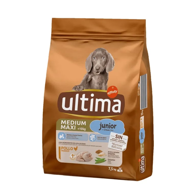 Dog Medium Maxi Junior Poulet