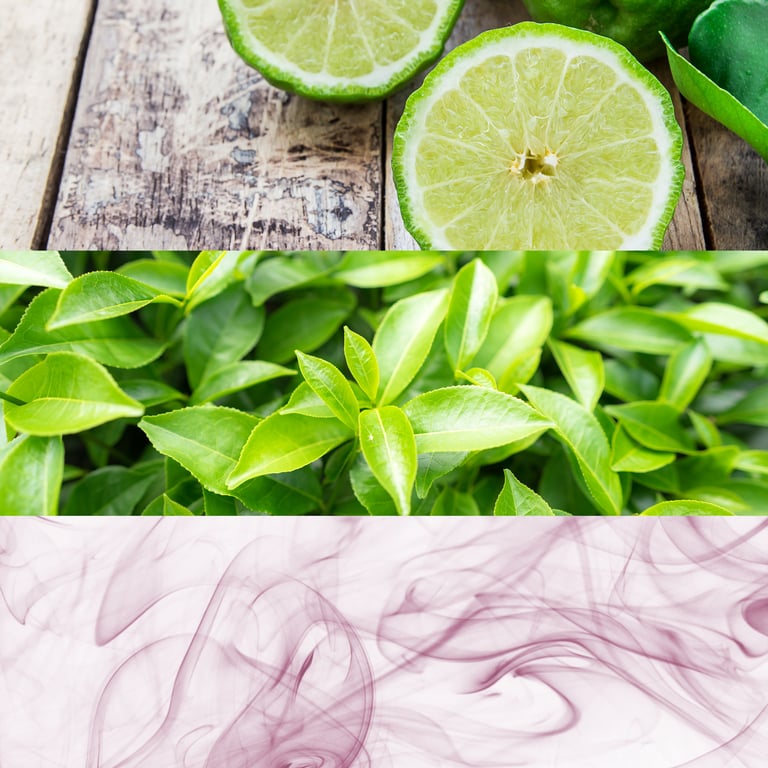 Ck One EDT Vaporizzatore 50 ml di Calvin Klein