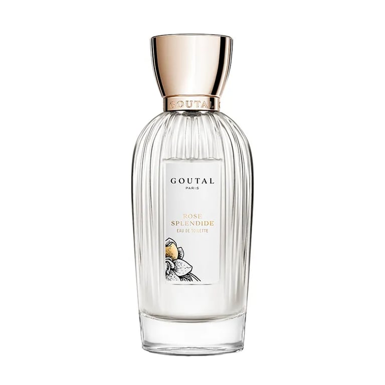 Rose Splendide EDT