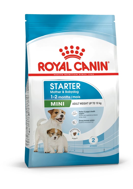 Mousse Starter Mother & Babydog - imagen 5 de 7