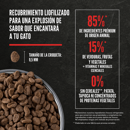 Dry Cat & Kitten - imagen 6 de 12