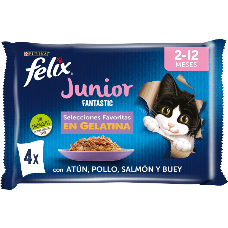 Fantastic Junior Selecciones Favoritas en Gelatina