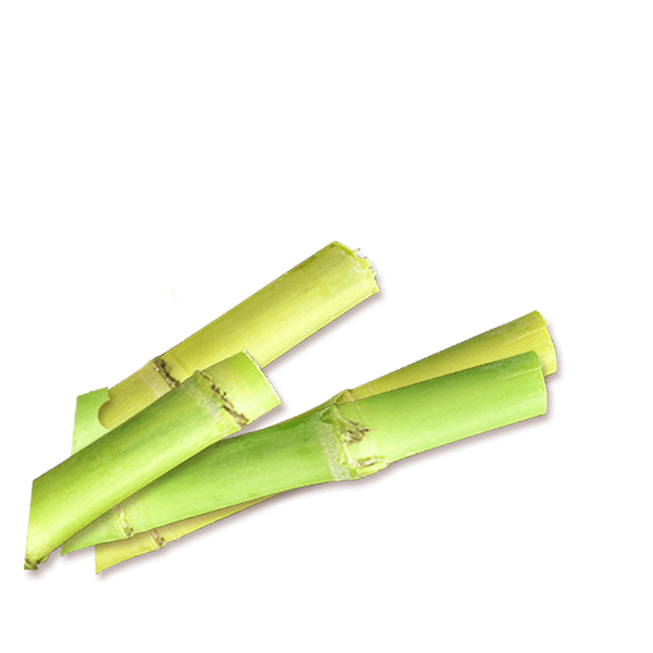 Azucar Blanco Syramena 500g de NATURATA