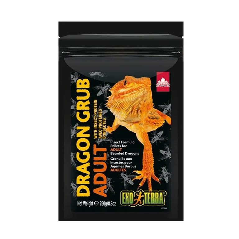 Dragon Grub Erwachsene