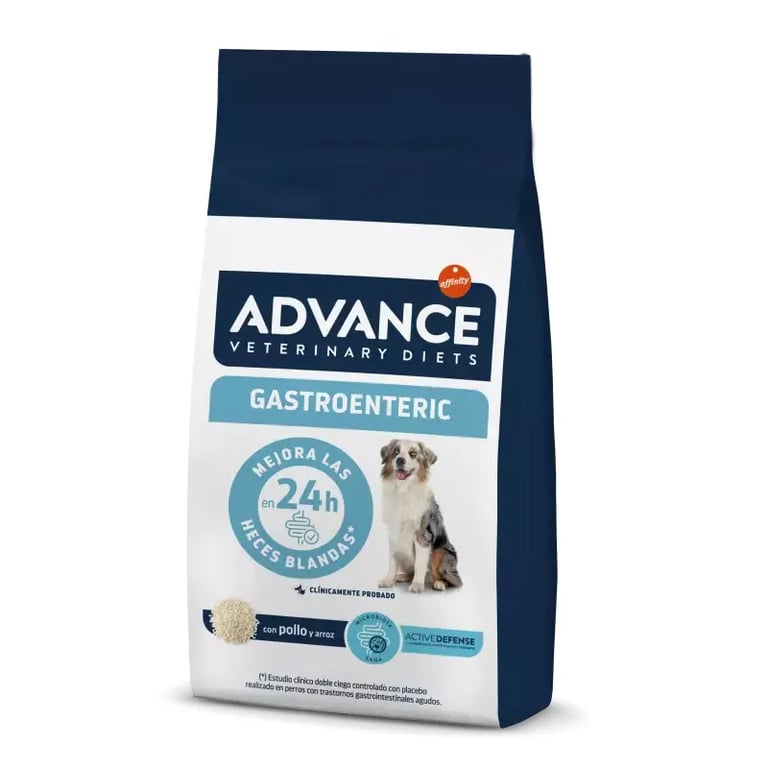 Veterinary Diets Pienso Para Perro Gastroenteric