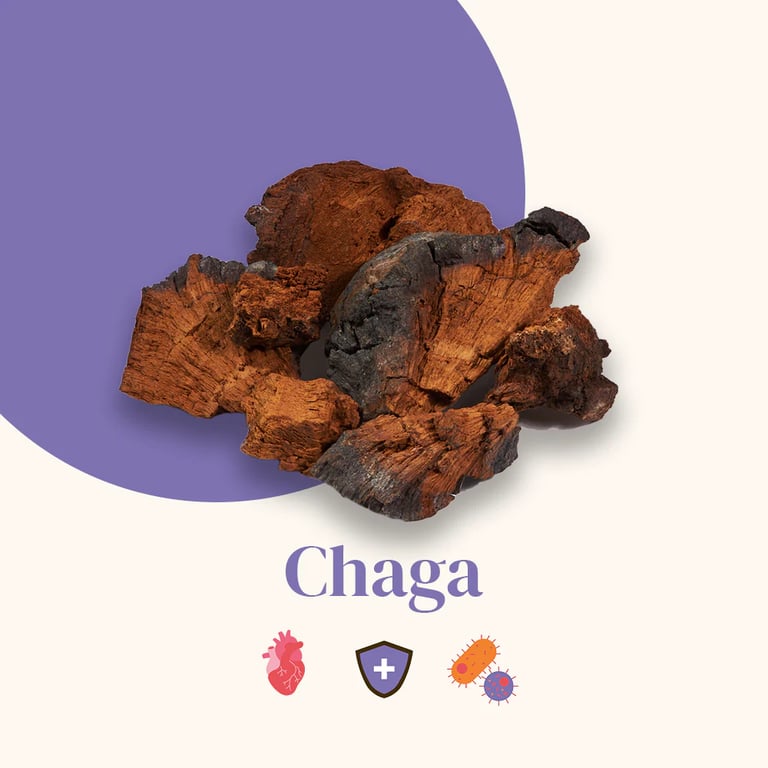 Extraits de Chaga Bio - imagen 5 de 6