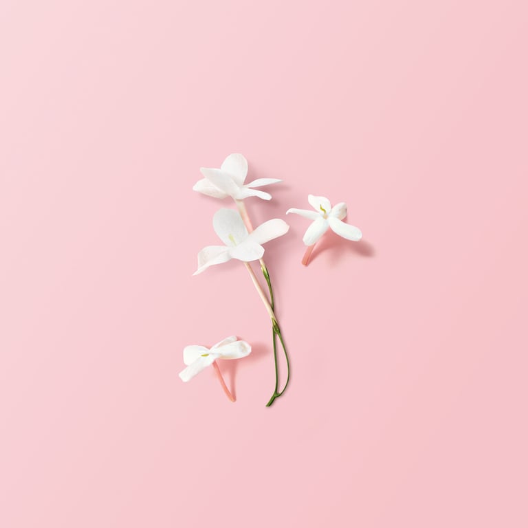 My Way EDP - imagen 10 de 10