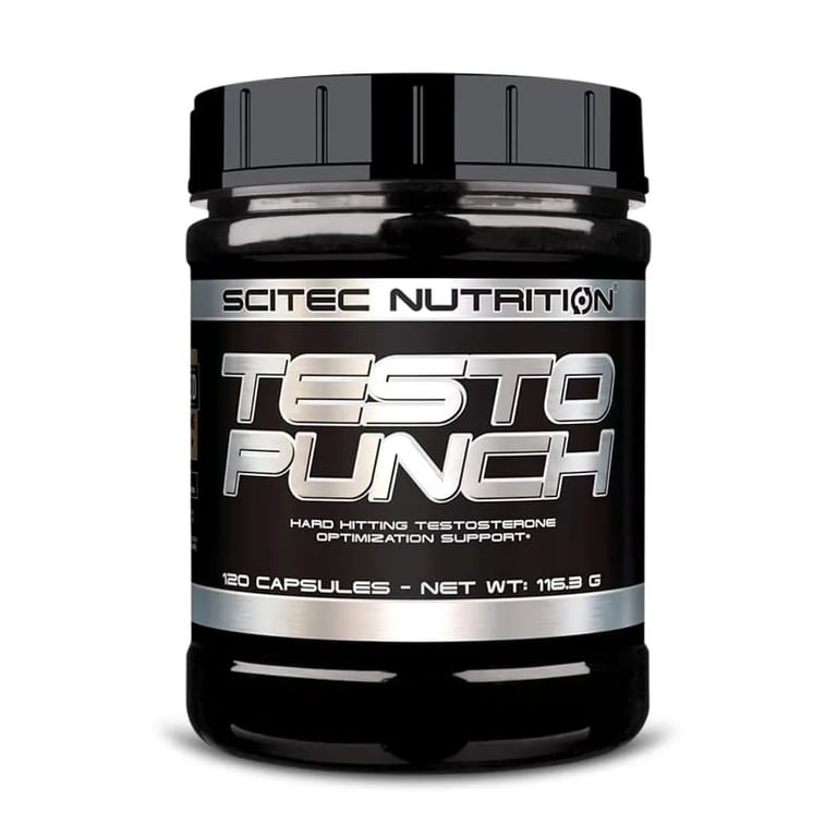 TESTO PUNCH