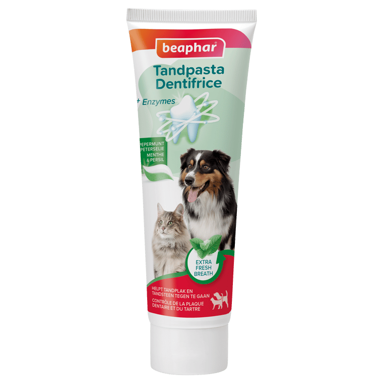 Dentifrice Menthe et Persil