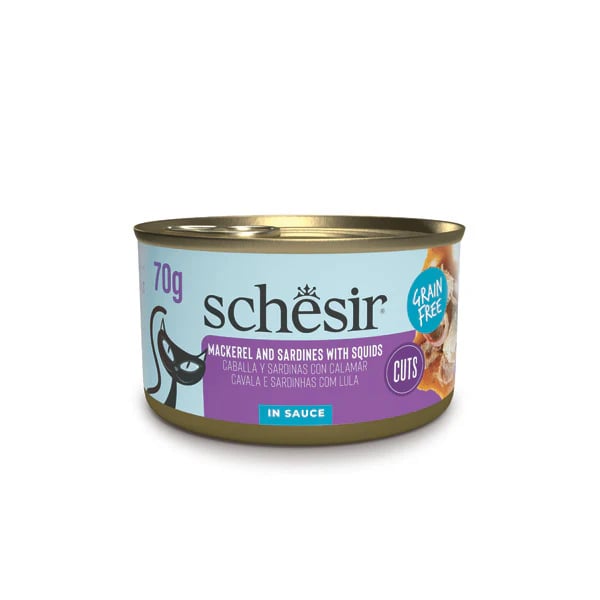 Maquereau et Sardines en Sauce