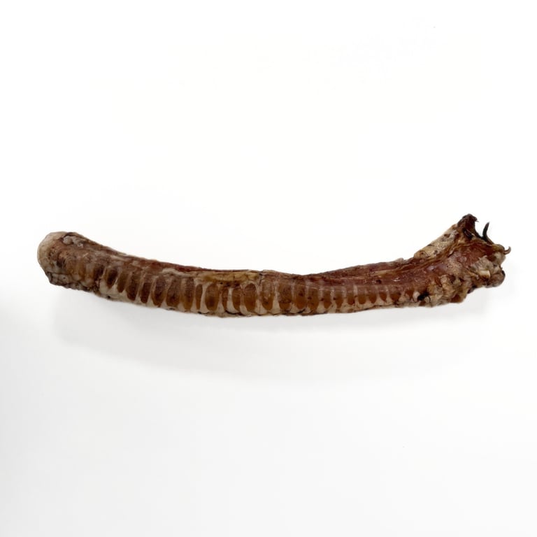 Tráquea XL de Ternera Deshidratada - imagen 2 de 2