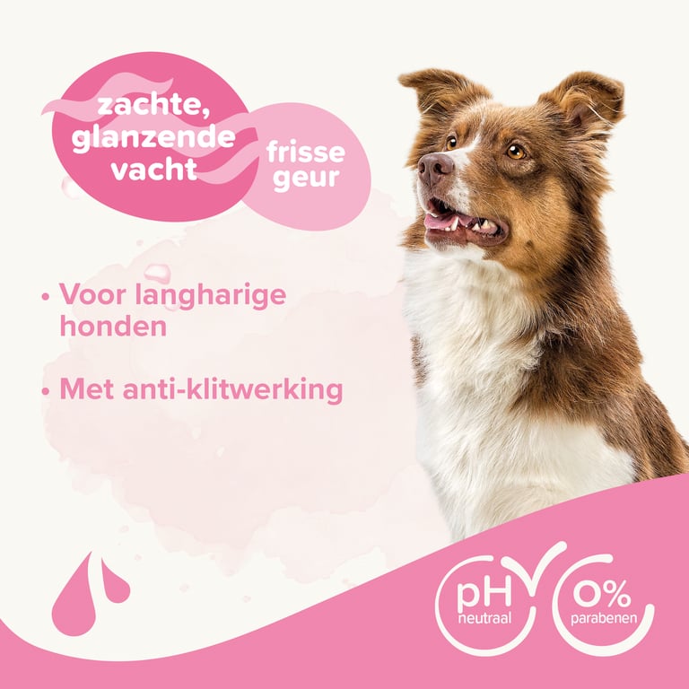 Universelles Hundeshampoo - imagen 5 de 5