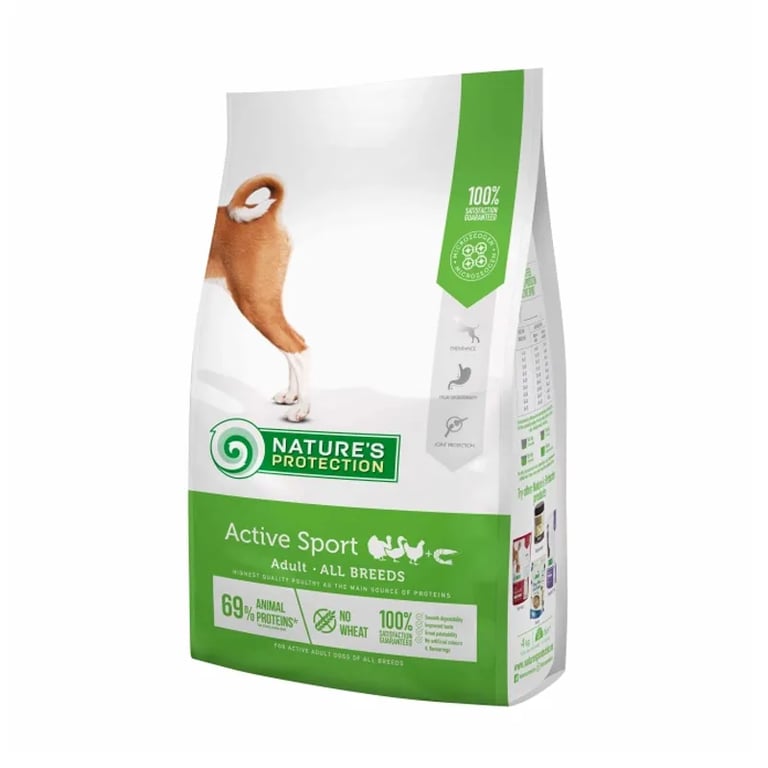 Dog Adult Active Sport